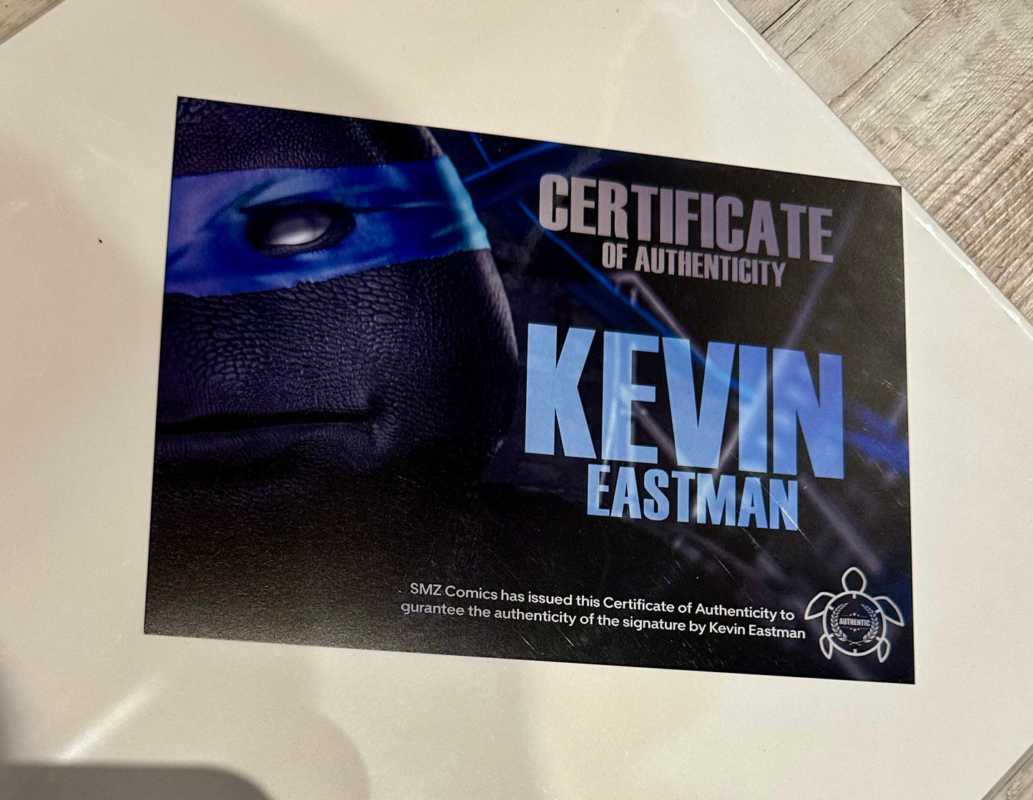TMNT 11x17 Art Print Signed by Kevin Eastman - Jennika