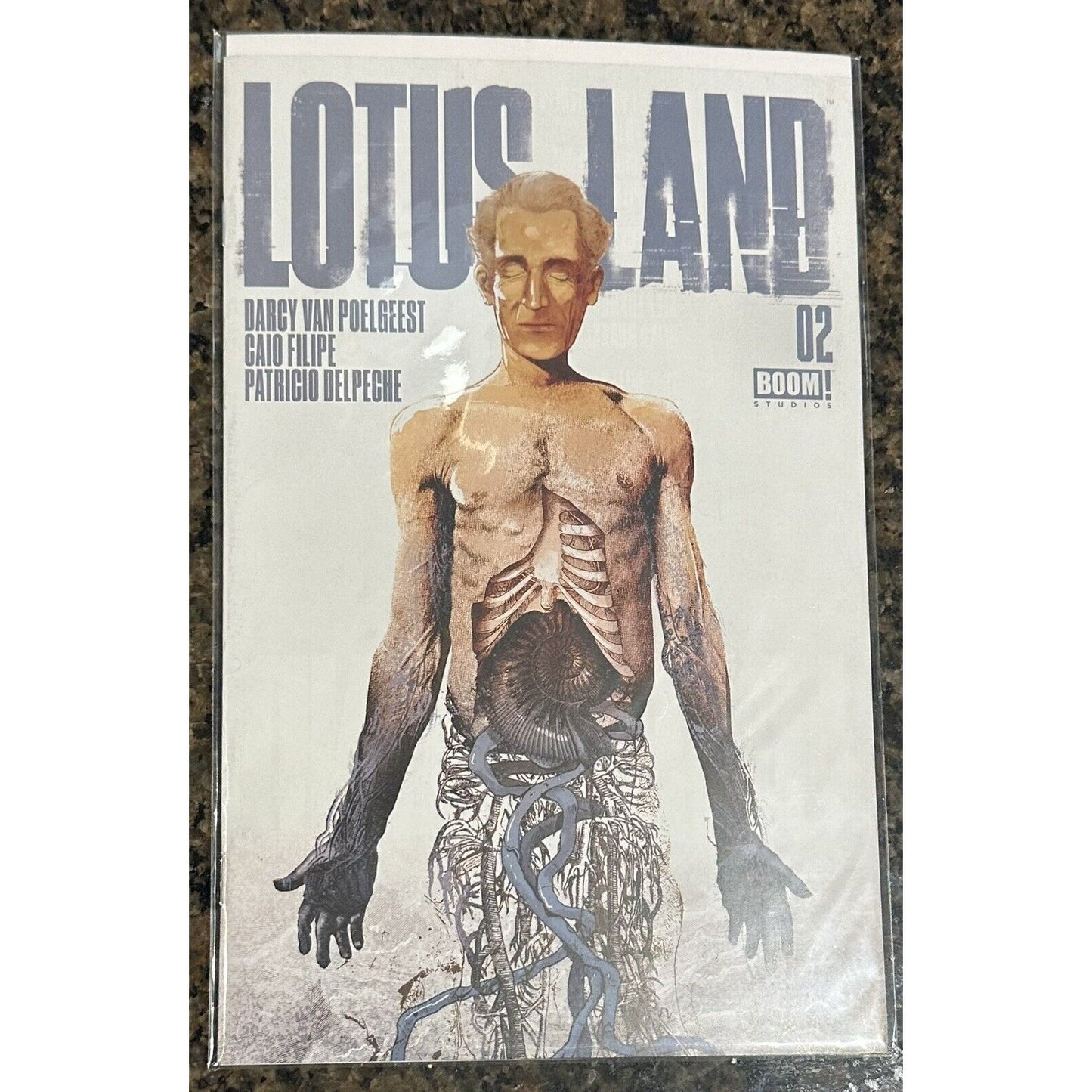 Lotus Land (2023) Full Set - 1 2 3 4 5 6 - #1F the rest A - BOOM! Studios!