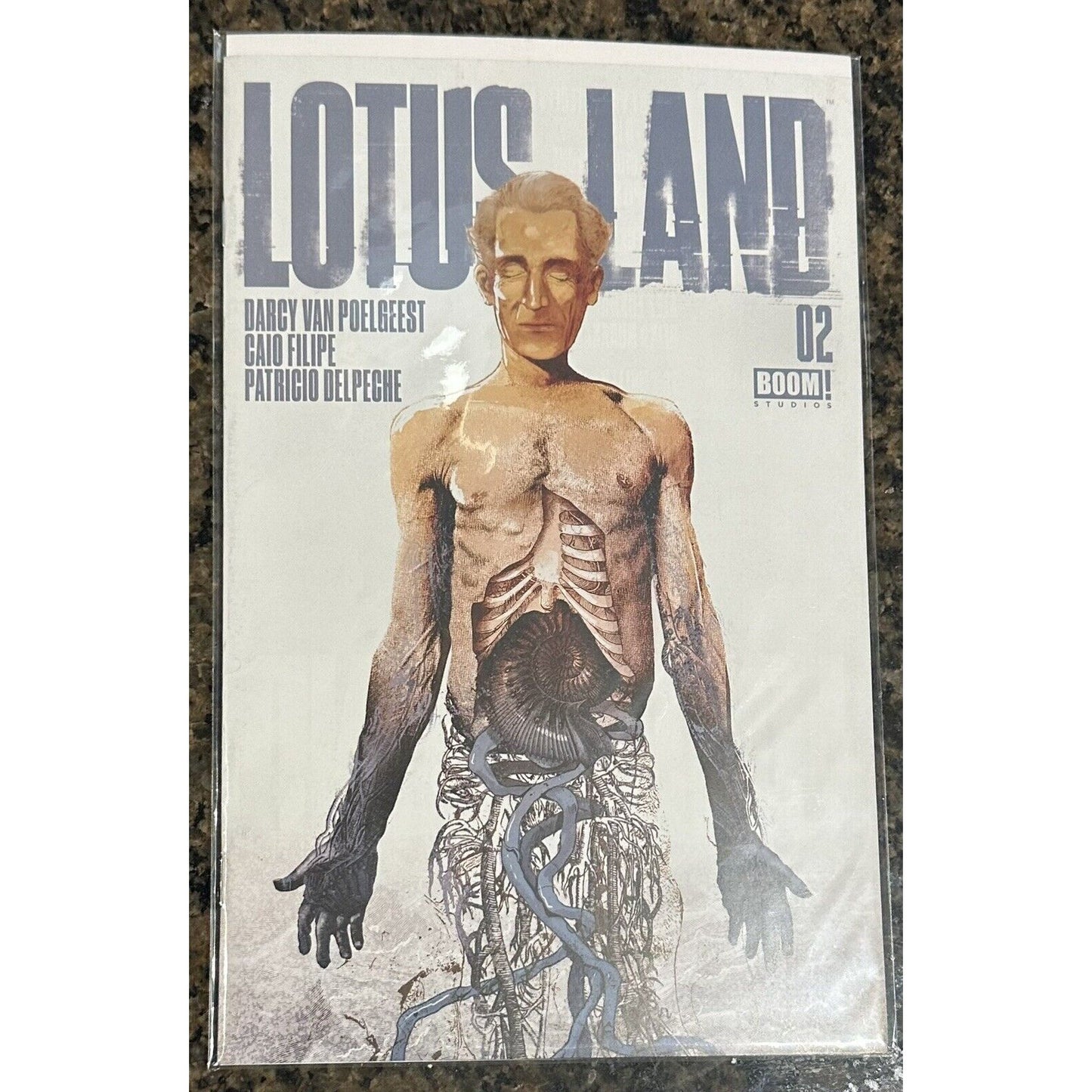 Lotus Land (2023) Full Set - 1 2 3 4 5 6 - #1F the rest A - BOOM! Studios! Lotus Land - BOOM! Studios (2023) - Complete/Full SetEach copy will be quality control checked before shipping and any issues above and beyond less than a GD condition or that does
